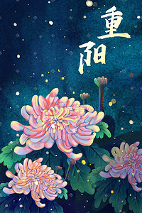 重阳节花插画图片_重阳节夜晚夜景菊花