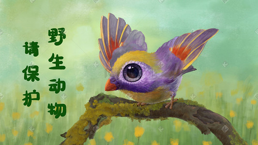 爱护动物插画图片_保护动物  爱护野生动物  小鸟  动物