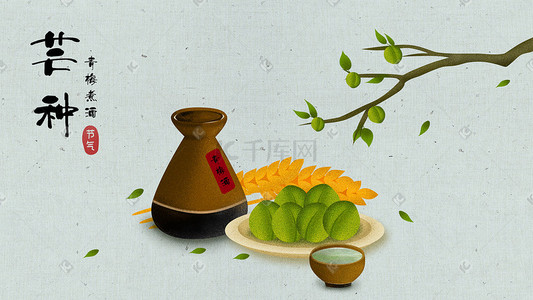 中国二十四节气芒种青梅谷物传统节日插画