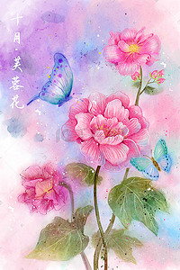 中画风插画图片_水彩花鸟十二月花信之十月芙蓉花