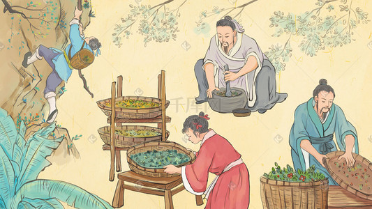 关于欧巴的卡通插画图片_中医养生中药保健关于中医草药