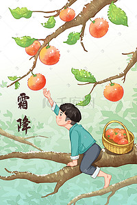 霜降插画图片_霜降橙色柿子黄色秋天秋季秋树叶落叶枫叶