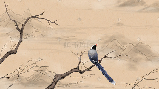 中国风工笔花鸟插画图片_写实工笔花鸟喜鹊