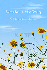 天空和插画图片_夏季晴朗天空和小雏菊