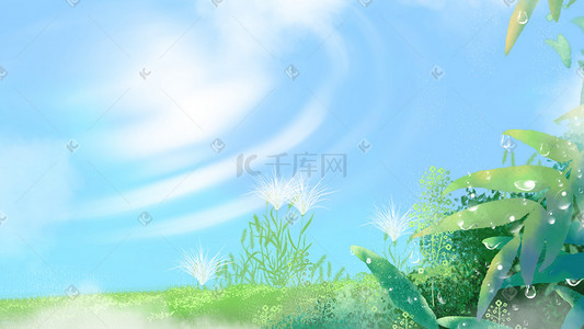 白露植物插画图片_夏天水波白露植物树叶露水蓝天云草地背景