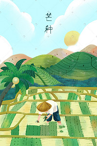 24节气芒种风景稻田农民种植插秧卡通插画