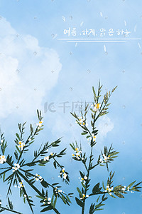 展厅开放插画图片_小清新夏天夏季开放的白色花朵