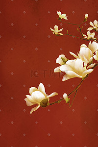 红色韩式花朵插画图片_中国风工笔花朵白玉兰