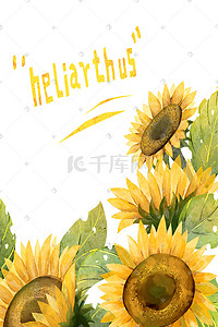 花卉背景插画图片_水彩风格向日葵花卉背景