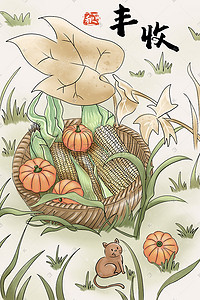 秋季丰收玉米南瓜猫咪粮食草地