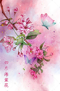 十二月花卉插画图片_水彩花鸟画十二月花信之四月海棠花