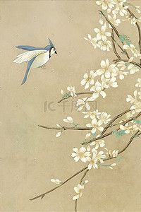 中国风工笔画花鸟