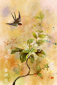 水彩花鸟画十二月花信-七月 金银花