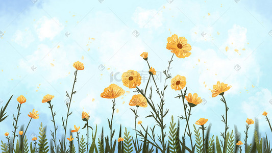 蓝色天空插画图片_开放在蓝色天空下的黄色花朵