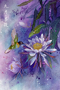 水彩花鸟画十二月花信 九月-昙花