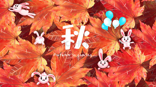 秋季季节兔子红色枫叶
