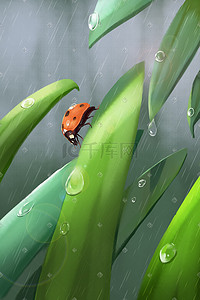 雨滴logo插画图片_雨水瓢虫雨滴树叶