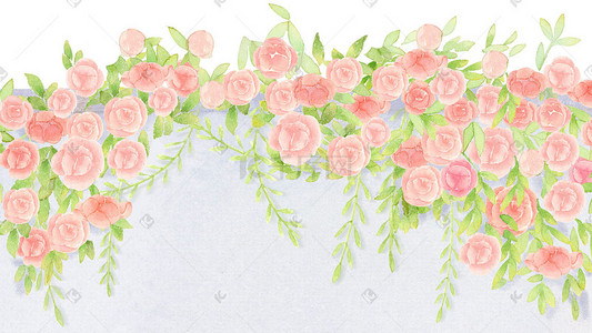 春天手绘插画图片_水彩手绘墙外的玫瑰花