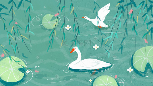 春游的插画图片_湖中的白鹅悠闲游泳