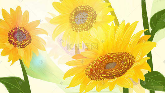 玩耍太阳花玩耍阳光向日葵插画手绘