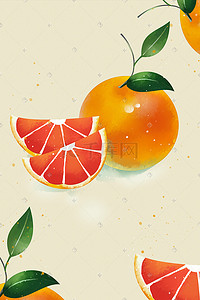 西柚西柚插画图片_西柚橘子橙子手绘插画