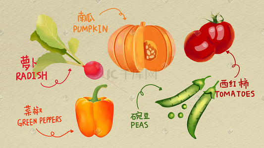 食品插画图片_食物蔬菜健康食品