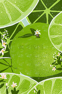 夏季小清新可爱卡通青桔手绘水果