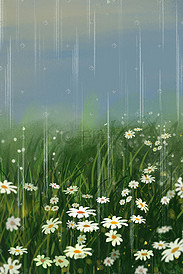 春天夏天唯美谷雨下雨节气原创小雏菊雨中踏青出游