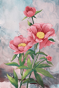 十二月花卉插画图片_水彩花卉水彩背景唯美植物