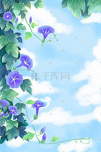 牵牛花插画图片_夏季夏日夏天牵牛花