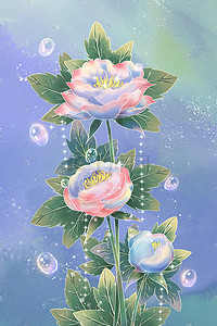 泡泡插画图片_牡丹花卉花朵泡泡植物背景