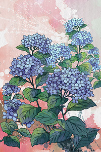 水彩花卉插画图片_水彩花卉水彩背景唯美植物绣球画