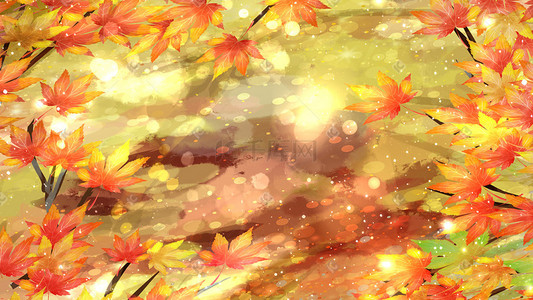 小清新树叶花朵插画图片_小清新秋天落日枫叶花朵树叶手绘唯美治愈