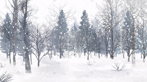 冬天冬季树林大雪雪地唯美萧瑟风景