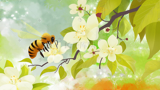 24节气插画图片_春天24节气惊蛰蜜蜂植物花草