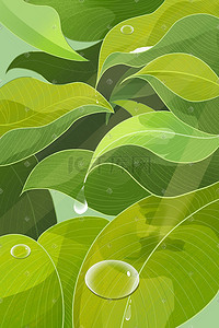绿植插画图片_绿植露水水珠树叶白露节气插画