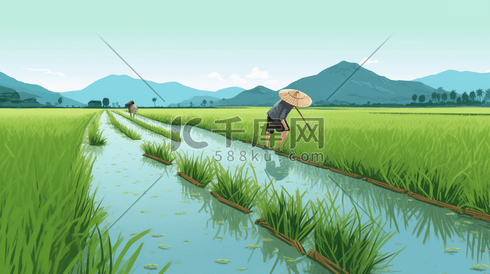 芒种水稻种田插秧手绘插画