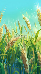 小麦线稿插画图片_小满小麦稻田插画