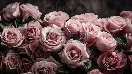 浪漫唯美玫瑰插画图片_一簇柔和的粉红色玫瑰插画