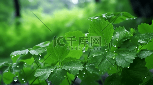 春季谷雨绿色叶子花开雨水自然数字艺术