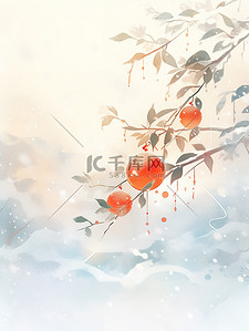 中国结插画图片_中国节气冬天雪花柿子结霜霜降插画4