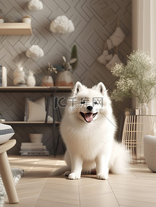 客户签名插画图片_可爱的萨摩耶狗坐在客户地板上4