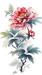 中国水墨植物牡丹花15