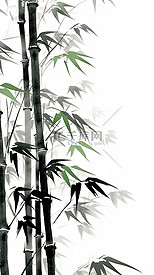 中国风水墨画竹子竹叶11