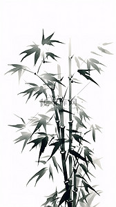中国风水墨画竹子竹叶3