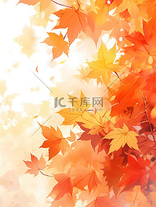 秋分枫叶插画图片_阳光明媚的秋叶枫叶秋天1
