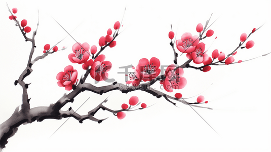 中国风红色水墨画梅花插画手绘