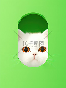 方块软糖插画图片_白猫绿色块中窥视8