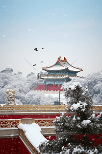 冬天雪景故宫松树照片摄影图写实插画