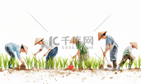 农民们种植水稻插秧4